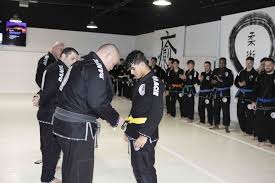 Image result for Hachidori ju-jitsu Martial Arts