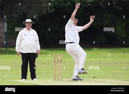 Image result for Chingford Cricket Club