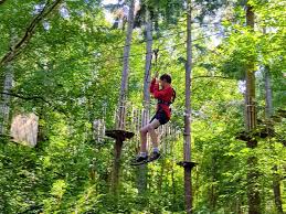 Image result for Go Ape! Leeds Castle