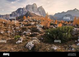 Image result for Ancestral Mountains
