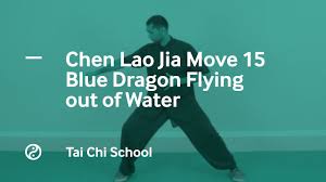 Image result for TRIANGLE CHANGQUAN FLYING DRAGON