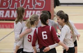Image result for Cheltenham Cobras Volleyball Club