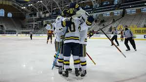 Image result for York University Hockey Club