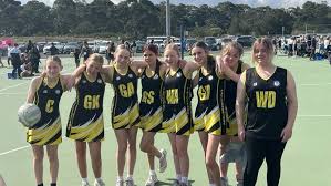 Image result for Normanton Falcons Netball Club
