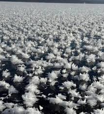 Attēlu rezultāti vaicājumam “Frost Flowers”