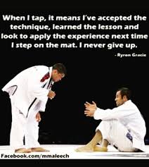 Image result for Ronin Yudansha Ryu