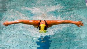 Image result for Alton & District Swimming Club