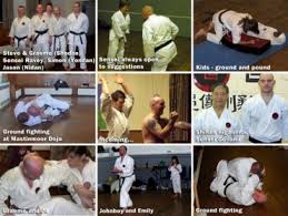 Image result for Goju.co.uk