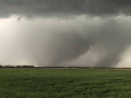 Image result for Tadcaster Tornadoes
