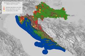 Attēlu rezultāti vaicājumam “Boloria dia upperside”