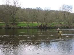 Image result for Penketh & Old Hall Angling Society