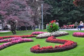 Image result for "Parco Ciani"