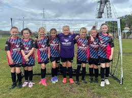 Image result for Fleur De Lys Football Club