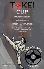 Image result for Tokei Martial Arts Club