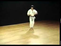 Image result for HEIWA SHOTOKAN KARATE CLUB