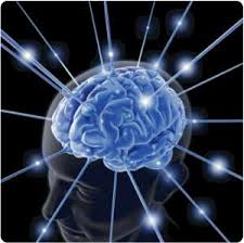 Memory Exercise