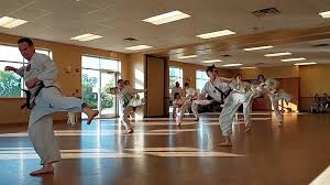 Image result for Springwood Karate