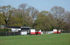 Image result for Virginia Water Fc