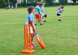 Image result for Hadleigh & Thundersley Cricket Club