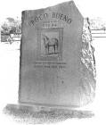 http://www.waggonerranch.com/Pocohs.jpg