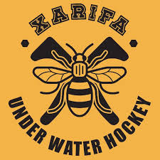 Image result for Halifax Octopush Club