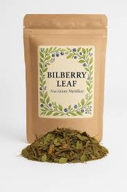 Attēlu rezultāti vaicājumam “Vaccinium myrtillus leaf”