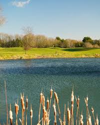 Image result for Bicester Golf & Country Club