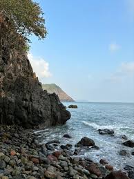 Image result for goa beaches
