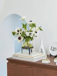 Image result for Anemonenarten