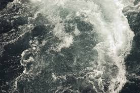 Image result for 高潮 津波 別物