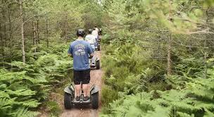 Image result for Go Ape! Moors Valley