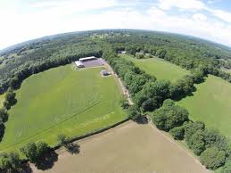 Image result for Newdigate Clays