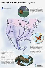 Image result for Cambridge Monarchs