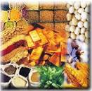 Govt clears way for futures options in commodities | TopNews