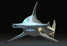 Image result for Sphyrna mokarran