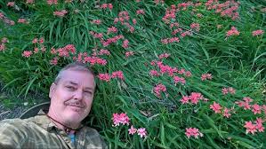 Attēlu rezultāti vaicājumam “Lophozia laxa”