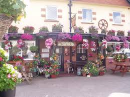 Image result for BUDLEIGH SALTERTON CROQUET CLUB