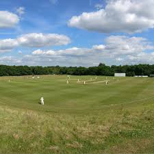 Image result for Valley End Cricket Club