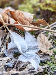 Attēlu rezultāti vaicājumam “Frost Flowers”