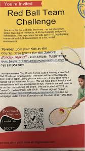 Image result for Junior Clay Tennis Registry
