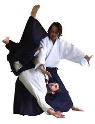 Image result for AikidoFlow