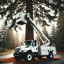 Image result for coupeco tehron