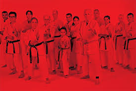 Image result for America's Best Karate Chandler