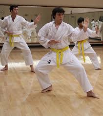 Image result for Shotokan Karate