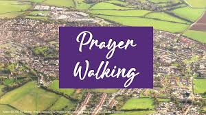 Image result for Peasedown-St-John Cc