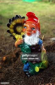 Image result for Gartenzwerg
