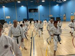 Image result for Wanstead JuJitsu Club