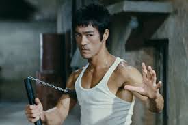 Image result for Somerset Jeet Kune Do