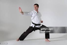 Image result for kung fu