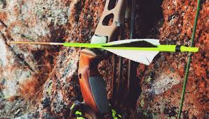 Image result for Taverham Archers